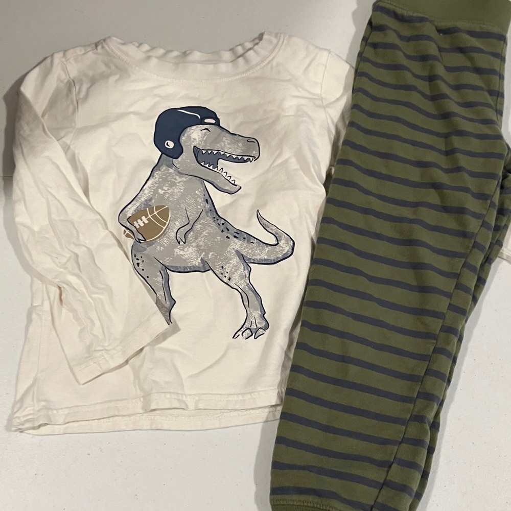 Kids Dinosaur Pajama Set - White and Green